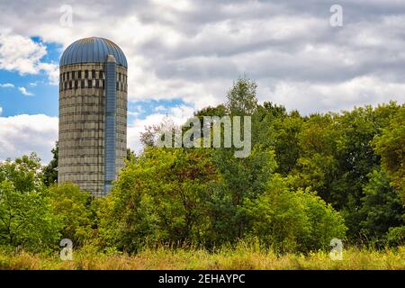 Un silo à étave en béton stockant les aliments pour animaux sur une ferme au milieu des arbres et de l'herbe au début de l'automne. Banque D'Images