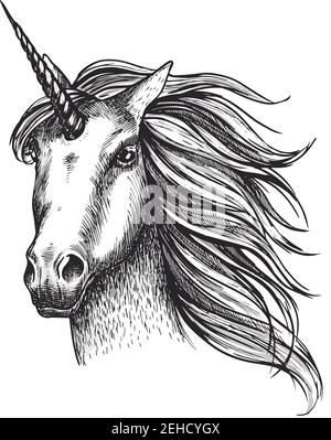 UNICORN mystique tête de cheval de fée esquisse icône de avec la corne magique. Vecteur licorne museau de cheval avec la manie d'ondulation pour le sport équin ou les courses équestres et Illustration de Vecteur