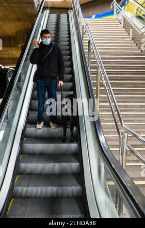 Corps complet de l'homme en masque avec un handicap de la vue debout sur l'escalier roulant avec chien-guide et à l'aide d'un téléphone portable Banque D'Images