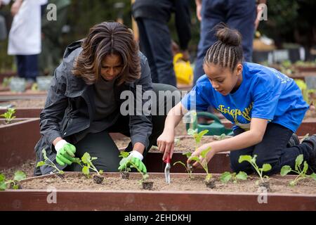 La première dame Michelle Obama se joint aux dirigeants du corps alimentaire et aux étudiants locaux pour les semis de printemps dans le jardin de la cuisine de la Maison Blanche, le 2 avril 2014. Banque D'Images