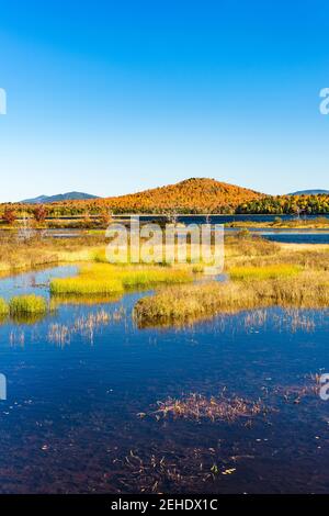 Simon Pond en automne, montagnes Adirondack, comté de Franklin, New York Banque D'Images