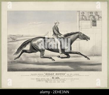 Le cheval de stimulation ''Billy Boyce'' de St. Louis- comme il est apparu à Buffalo N.Y. Aug 1er 1868 en suivant le dernier demi-mile de la deuxième chaleur en 1 minute 5 1-4 secondes et le troisième feu un mile dans le Banque D'Images