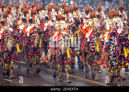 Les soldats défilent à camelback pendant la parade de la République à New Delhi, Inde, le 26 janvier 2015. Banque D'Images