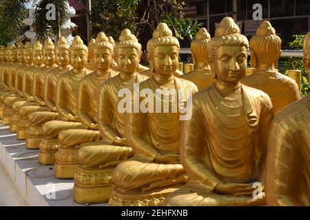 Bouddha statues Parade, Wat Chetawan, Phrae, nord-ouest de la Thaïlande, toutes les statues sont les mêmes, les statues de l'orée, Bouddha assis, geste de détente, l'art Banque D'Images