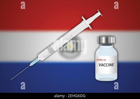 Seringue et flacon de vaccin sur fond flou avec drapeau du Paraguay, gabarit pour la bannière de vaccination Illustration de Vecteur