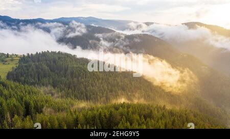 Vue aérienne de la forêt tropicale recouverte de nuages et de brouillard. Banque D'Images