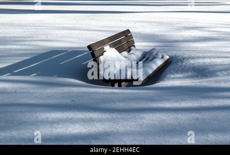 La vie dans une ville froide - les paysages enneigés d'Ottawa - banc de parc se prélassant au soleil de la fin de l'après-midi, seulement en maintenant sa dignité. Ontario, Canada. Banque D'Images