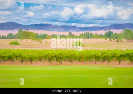 Peinture numérique de la vue sur les vignes et la campagne aux Two Rivers Hunter Valley Wines, Nouvelle-Galles du Sud, Australie. Banque D'Images