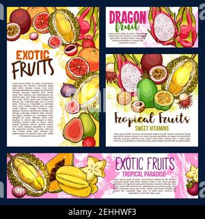 Les fruits exotiques croquis des bannières et des affiches de durian, papaye ou mangue et mangoustène. Récolte vectorielle de fruit dragon pitaya tropical ou de fruit de la passion ma Illustration de Vecteur