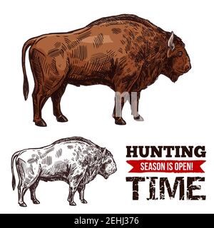 Affiche de croquis de chasse en saison ouverte pour la société de chasseurs ou le club de chasse. Vecteur isolé buffle-bœuf sauvage ou bison-taureau pour une aventure de chasse aux animaux sauvages Illustration de Vecteur