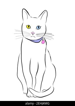 Dessin d'un chat blanc avec hétérochromie, yeux impairs, isolé sur blanc regardant directement le spectateur. Collier d'usure avec collier ID vierge. Banque D'Images