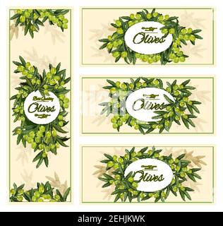 Banderoles à olives pour huile d'olive ou produit naturel biologique extra vierge. Motif vectoriel de bouquet d'olives vertes et de feuilles pour l'agriculture ou la cuisine alimentaire Illustration de Vecteur