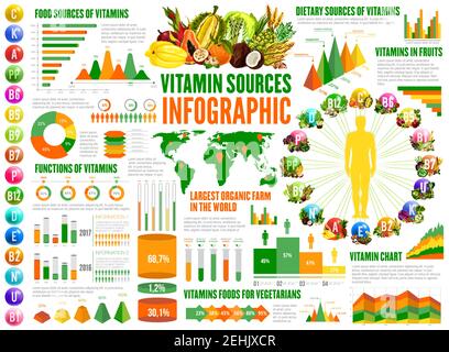 Infographiques des sources de vitamines, graphiques statistiques de nutrition et diagrammes. A, B, K, vitamines dans les aliments pour les végétariens, fonction de la vitamine C dans le graphique, co Illustration de Vecteur