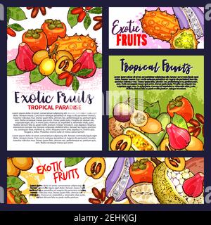 Fruits exotiques affiche paradis tropical croquis comestibles Delicatessen fruits vecteur. Brochures design avec pomme de mammee et maryla, kiwano et loquat, g Illustration de Vecteur