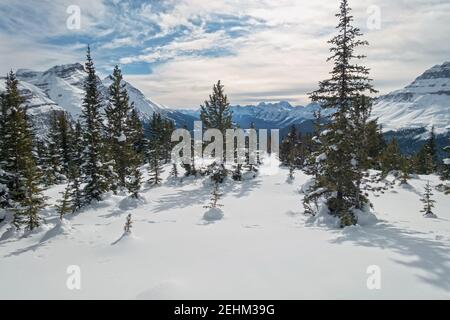 Forêt subalpine et Snowy Meadow avec paysage lointain des Rocheuses. Raquettes d'hiver ski Touring dans le parc national Banff, Rocheuses canadiennes Banque D'Images