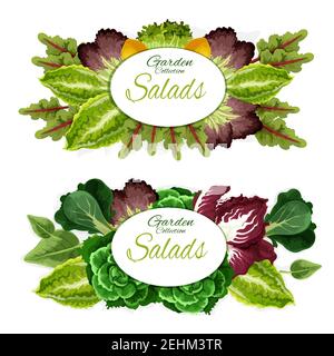 Feuilles vertes légumes et salades d'ingrédients alimentaires santé. Laitue, chou et épinards, bok choy, verger et cresson, radicchio et légumes chicorés Illustration de Vecteur