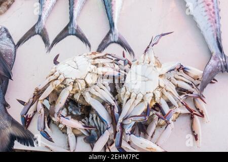 Poisson, crabe et crevettes exposés sur la route petit magasin vendeur à Chennai, Inde Banque D'Images