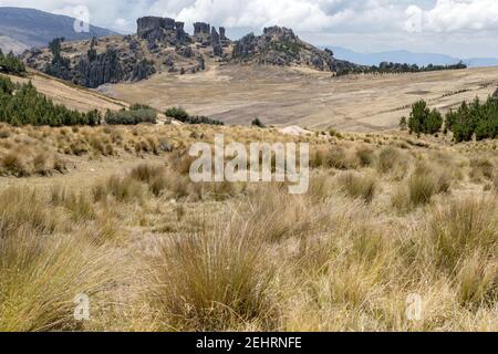 Los Frailones, les frères ou les moines de pierre, site archéologique de Cumbe Mayo, Cajamarca, Pérou Banque D'Images