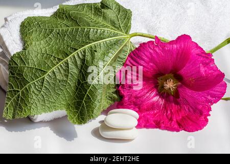 Trois pierres blanches contre belle grande fleur d'hibiscus rouge et tour blanche Banque D'Images