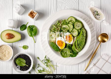Bol avec quinoa, microverts de tournesol, concombre, avocat, jeunes épinards et œuf dur avec jaune d'eau servi avec sauce tahini, plat, dinde Banque D'Images