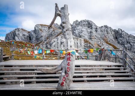 4500m signe d'élévation sur branche d'arbre en face du sommet de la montagne de neige de Shika à Shangri-la Yunnan Chine (traduction : altitude ) Banque D'Images