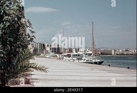 Balayage d'archives de Palma Majorque environ 1975. Une esplanade calme sur le front de mer avec des yachts à quai haut de gamme Banque D'Images