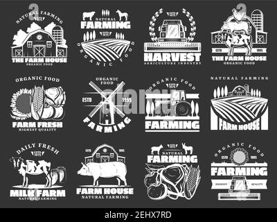 Icônes vectorielles monochromes de l'exploitation et de l'agriculture, récolte et animaux. Aliments biologiques et viande, lait et ferme de bétail. Champ et grange, tournesol et légumes, Illustration de Vecteur