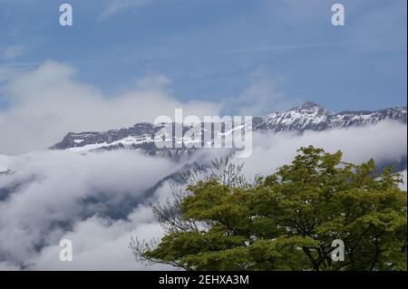 La Suisse, la vue des Alpes dans les nuages blancs épais et le brouillard Banque D'Images