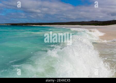 Gardner Bay, Espanola Island, Galapagos Island, Équateur. Banque D'Images