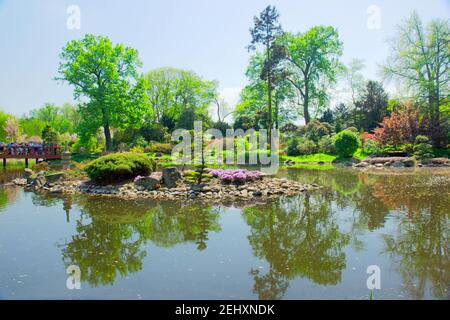 Jardin botanique de Wroclaw, Pologne Banque D'Images