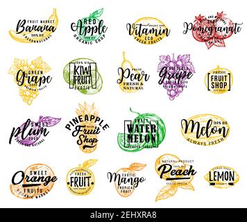 Icônes isolées de fruits, lettrage. Banane vectorielle et pomme rouge, citron et grenade, raisin et kiwi, poire et prune. Ananas et pastèque, melon an Illustration de Vecteur
