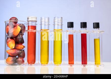 Huile de palme et fruits de couleur rouge non raffinés avec test de bécher tube en laboratoire Banque D'Images