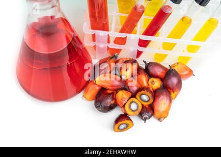 Huile de palme et fruits de couleur rouge non raffinés avec test de bécher tube en laboratoire Banque D'Images