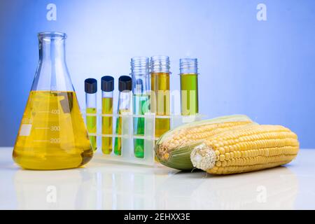 Biocarburant à base d'éthanol dérivé d'un labyrinthe de maïs avec tubes à essai à bécher en laboratoire Banque D'Images