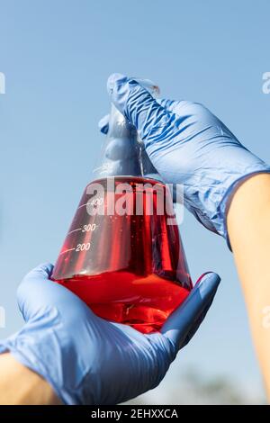 Main avec gants tenant le bol avec paume rouge non raffinée huile contre le ciel bleu Banque D'Images