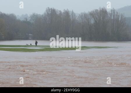 Abergavenny, Monbucshire, pays de Galles, Royaume-Uni Météo - Samedi 20 février 2021 - la rivière Usk en circulation rapide a commencé à déborder de ses berges après de fortes pluies au cours des dernières 24 heures dans le sud du pays de Galles. La prévision est pour plus de pluie. Photo Steven May / Alamy Live News Banque D'Images