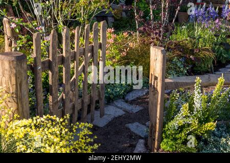 Un poteau rustique et rail de clôture en bois poteaux de clôture de jardin de piquet en bois jardin potager anglais plantation mixte de Cytisus scoparius - balai commun Royaume-Uni Banque D'Images