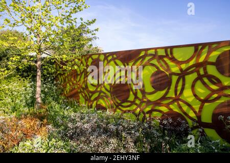 Un jardin urbain moderne corten acier vert panneaux de clôture de jardin - Printemps -bordure de fleur - ciel bleu - Corylus colurna - un arbre de noisette turc -Angleterre Royaume-Uni Banque D'Images