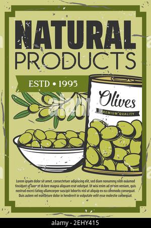 Olives marinées en conserve, affiche de collation biologique naturelle. Produit de cornichons à l'olive vert vectoriel dans une assiette de bol, une salade et des ingrédients de cuisson Illustration de Vecteur