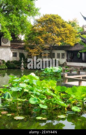 Un étang de lotus et une scène de style chinois classique dans le jardin persistant de suzhou en chine lors d'une journée ensoleillée dans la province de jiangsu. Banque D'Images