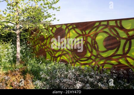 Un jardin moderne corten acier vert panneaux d'écran décoratifs de clôture - printemps -fleur bordure Corylus colurna - un noisetier turc -Angleterre UK Banque D'Images