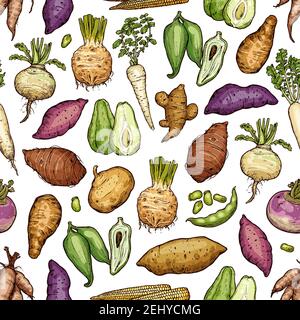 Légumes exotiques et racines sans couture. Vecteur arrakacha et chou-rave, scoroner et chayote, artichaut et pois, mini-maïs, céleri et betterave, tur Illustration de Vecteur