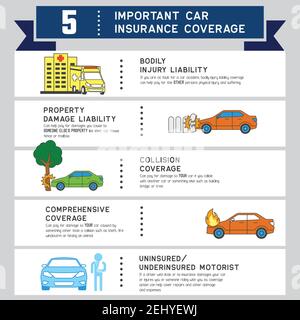 graphique d'informations sur l'assurance automobile pour l'assurance entreprise. illustration vectorielle Illustration de Vecteur