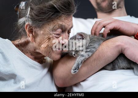 Femme senior tendresse, baiser mignon gris Scottish Straight chaton sur le canapé à la maison de soins avec volontaire. Thérapie Kitty. Grand-mère et adulte Banque D'Images