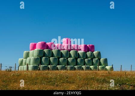 Balles de foin colorées disposées dans un beau motif par une journée ensoleillée dans la campagne, région de Cezallier, Auvergne, France Banque D'Images