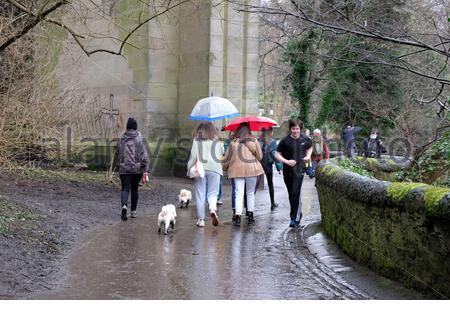 Édimbourg, Écosse, Royaume-Uni. 20 février 2021. S'ennuyer avec la pluie le long de la populaire voie de l'eau de Leith ne parvient pas à dissuader les gens qui apprécient l'extérieur. Crédit : Craig Brown/Alay Live News Banque D'Images