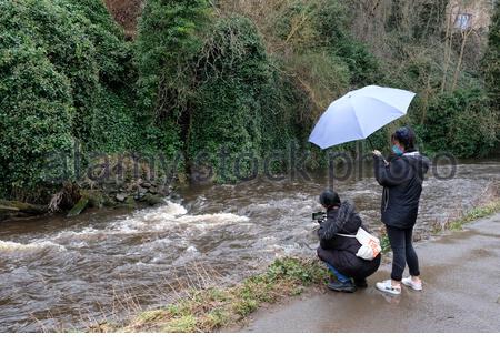 Édimbourg, Écosse, Royaume-Uni. 20 février 2021. S'ennuyer avec la pluie le long de la populaire voie de l'eau de Leith ne parvient pas à dissuader les gens qui apprécient l'extérieur. Crédit : Craig Brown/Alay Live News Banque D'Images