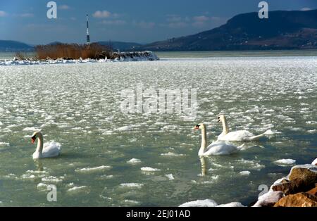Lac Balaton à witer Time, Hongrie Banque D'Images