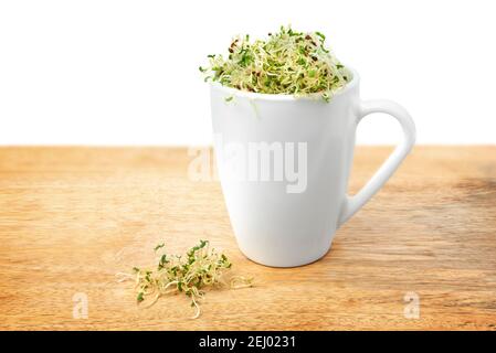 Jeunes pousses de luzerne biologique dans une tasse sur un bois gros plan de la table Banque D'Images