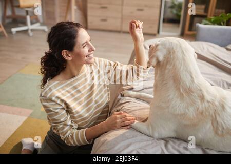 Portrait en grand angle aux tons chauds d'une jeune femme souriante jouant avec un chien assis au sol dans un intérieur confortable éclairé par la lumière du soleil Banque D'Images